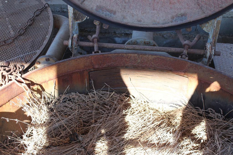 Musée de la Lavande