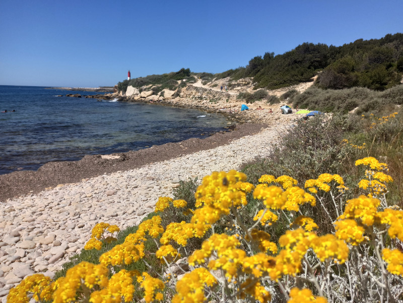 Réserve du Cap Couronne