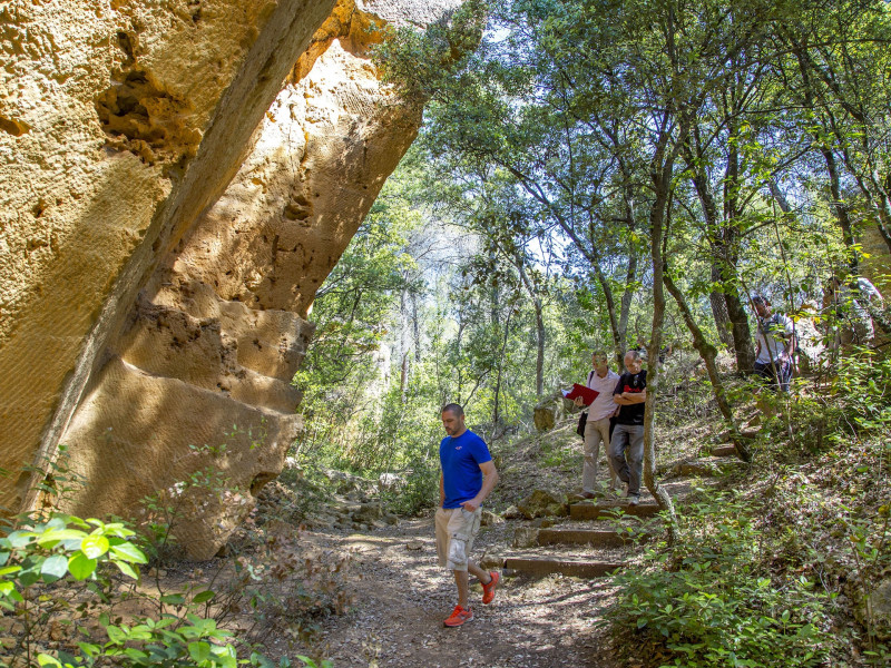 The Bibemus Quarries