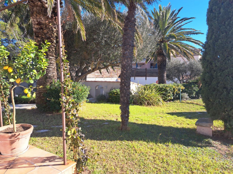 Le Jardin et ses palmiers Le Jardin et ses palmiers