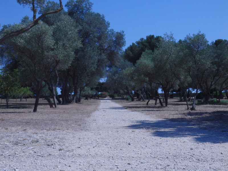 Grand Parc de Figuerolles - Paul Lombard_Martigues