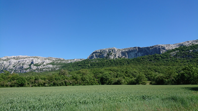 The Sainte Baume mountains
