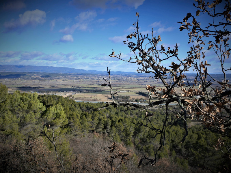 13VIS003553_2_HD.jpg 13VIS003553_2_HD.jpg