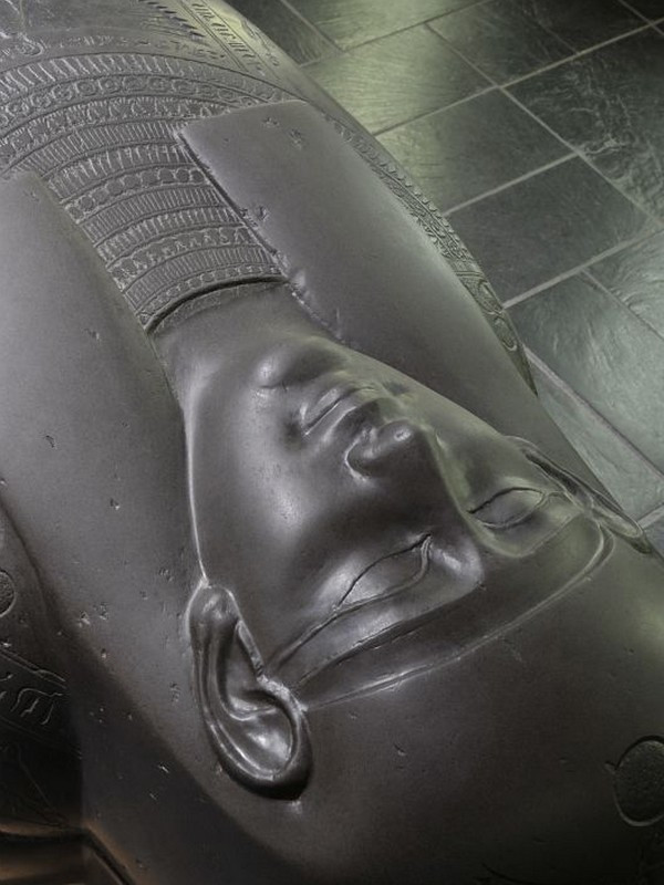 Musée d'Archéologie Méditerranéenne (MAM)