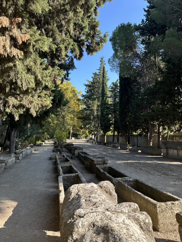 La nécropole des Alyscamps et l'église Saint Honnorat_Arles