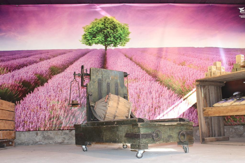 Musée de la Lavande Musée de la Lavande