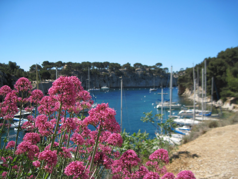 Calanque of Port Miou