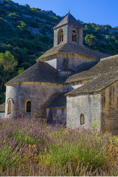 Abbaye de Sénanque