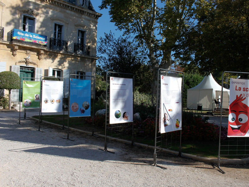 13T2000655_8_HD.jpg - © Muséum d'Histoire Naturelle 13T2000655_8_HD.jpg