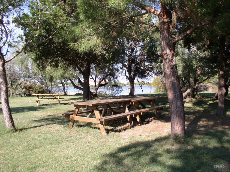 Domaine de la palissade