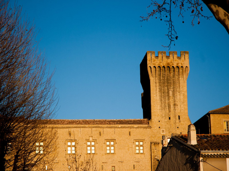 13T2000103_2_HD.jpg - © Château de l'Empéri 13T2000103_2_HD.jpg