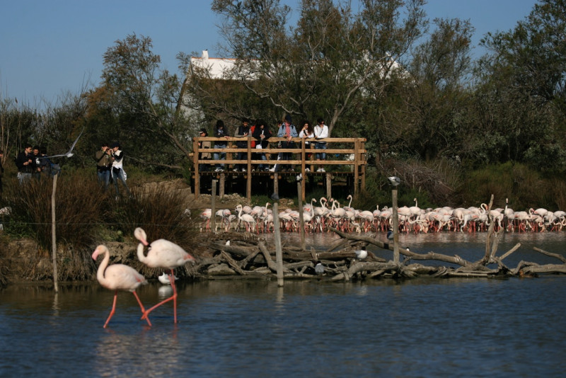 Pont de Gau - © Pont de Gau Pont de Gau