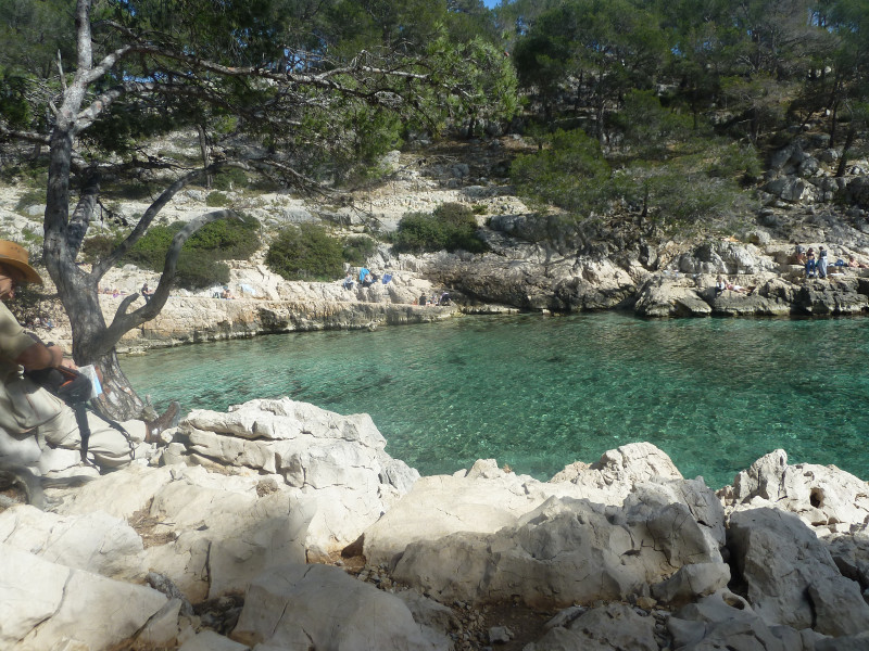 Calanque Port Pin Calanque Port Pin