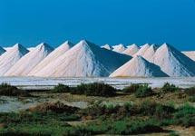 Salin de giraud