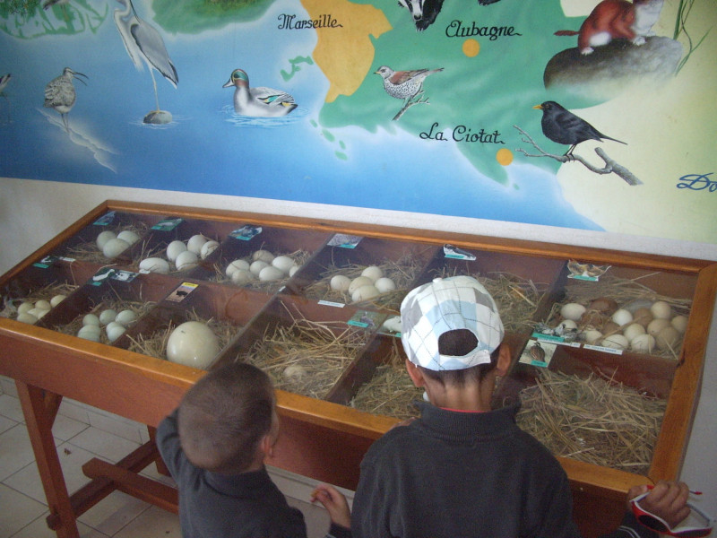 Educational farm of the Parc de Figuerolles_Martigues