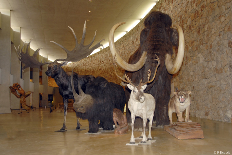 Musée de Préhistoire des Gorges du Verdon - © DR MPGV Musée de Préhistoire des Gorges du Verdon