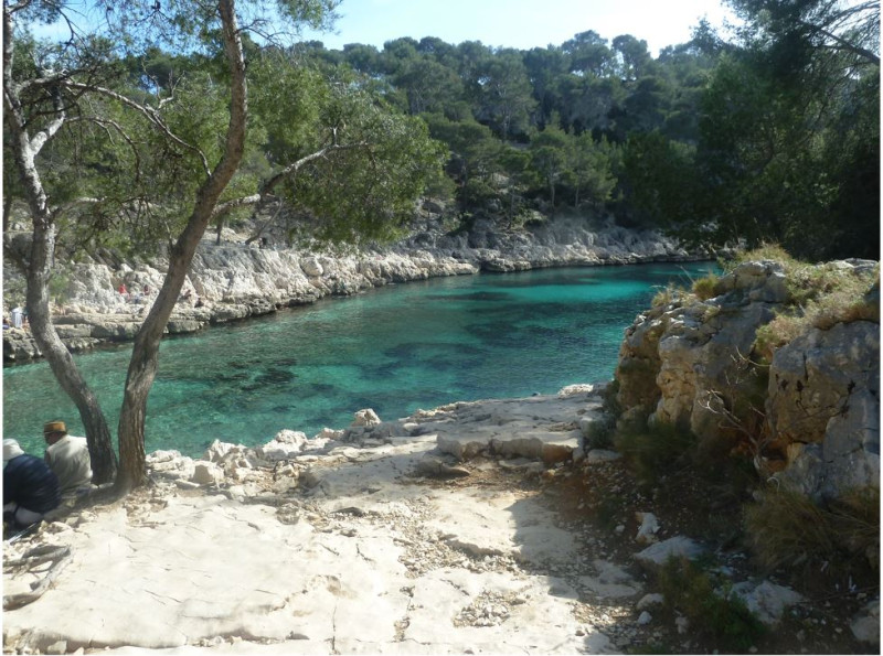 Calanque de Port Pin Marseille - © Calanque de Morgiou©joOMTCM Calanque de Port Pin Marseille