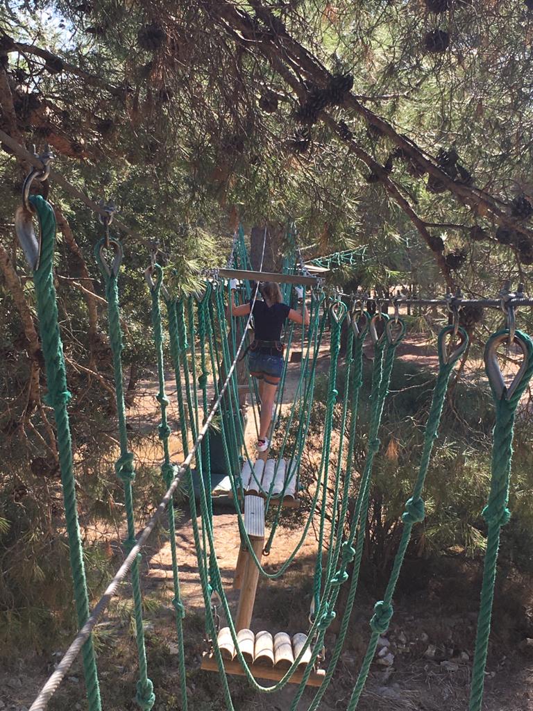 Tree climbing at the Grand Parc de Figuerolles
