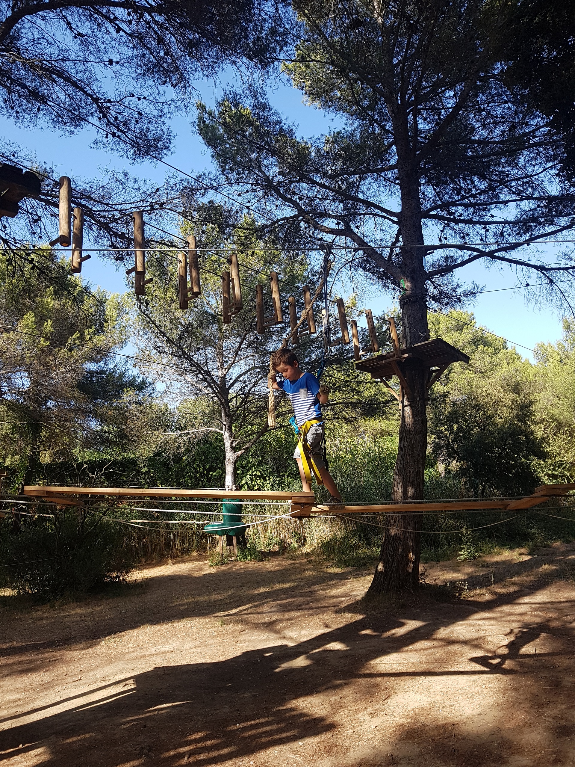 Escalada de árboles en el Grand Parc de Figuerolles - © Otmartigues / Delphine_lty