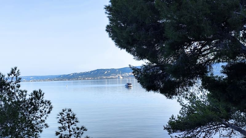 Balades commentées en kayak ou à pied sur l'étang de Berre - © Otmartigues / MyriamF Balades commentées à pied ou en kayak autour de l'étang de Berre à Martigues. Des activités de plein air pour prendre le temps avec l'Office de Tourisme de Martigues - © Otmartigues / MyriamF