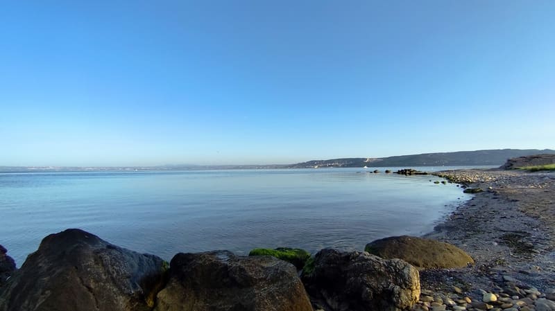 Rives de l'étang de Berre et écologie à Martigues - © Otmartigues / MyriamF Balade commentée sur les rives de l'étang de Berre pour apprendre la faune et la flore locale de Martigues. Des activités en slow tourisme proposés par l'Office de Tourisme de Martigues - © Otmartigues / MyriamF