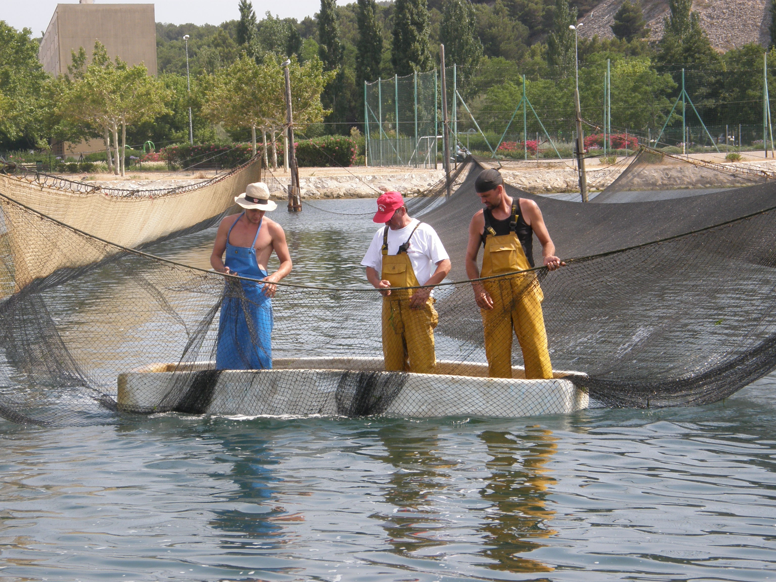 Calen et poutargue - © OtMartigues - MelindaC