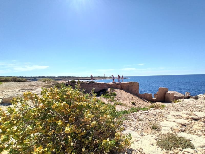 Fleurs sauvages au premier plan et carrières de pierre de Baou Taille visible sur le sentier du littoral. Des blocs de roche taillé dans la pierre. Des personnes sont debout sur le plus gros roc, face à la mer - © Otmartigues / KarimK
