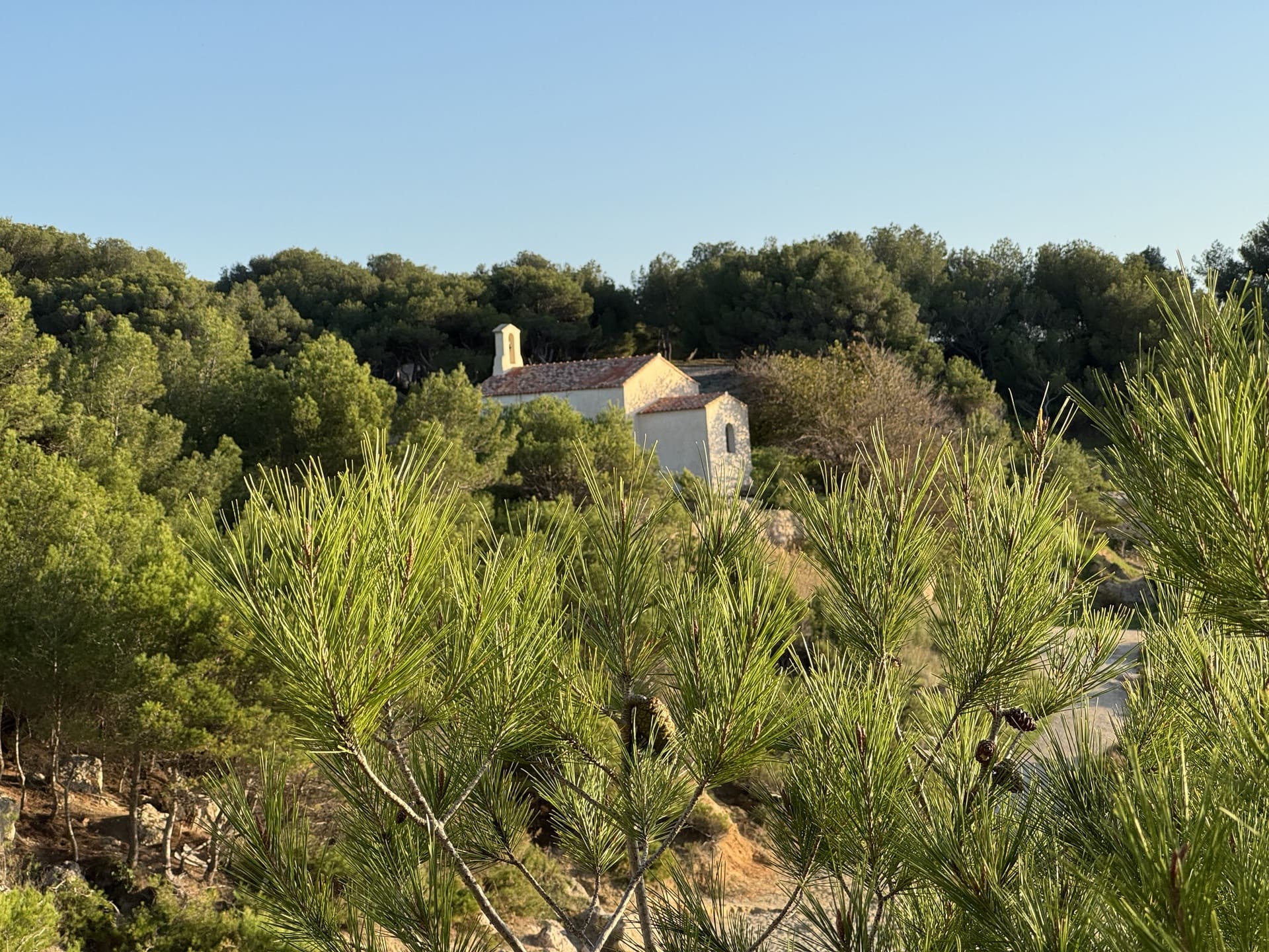 El tejado de la capilla de Sainte-Croix se vislumbra entre los pinos que la rodean. La foto tiene un aire místico, como si la capilla estuviera aislada entre los árboles, encaramad