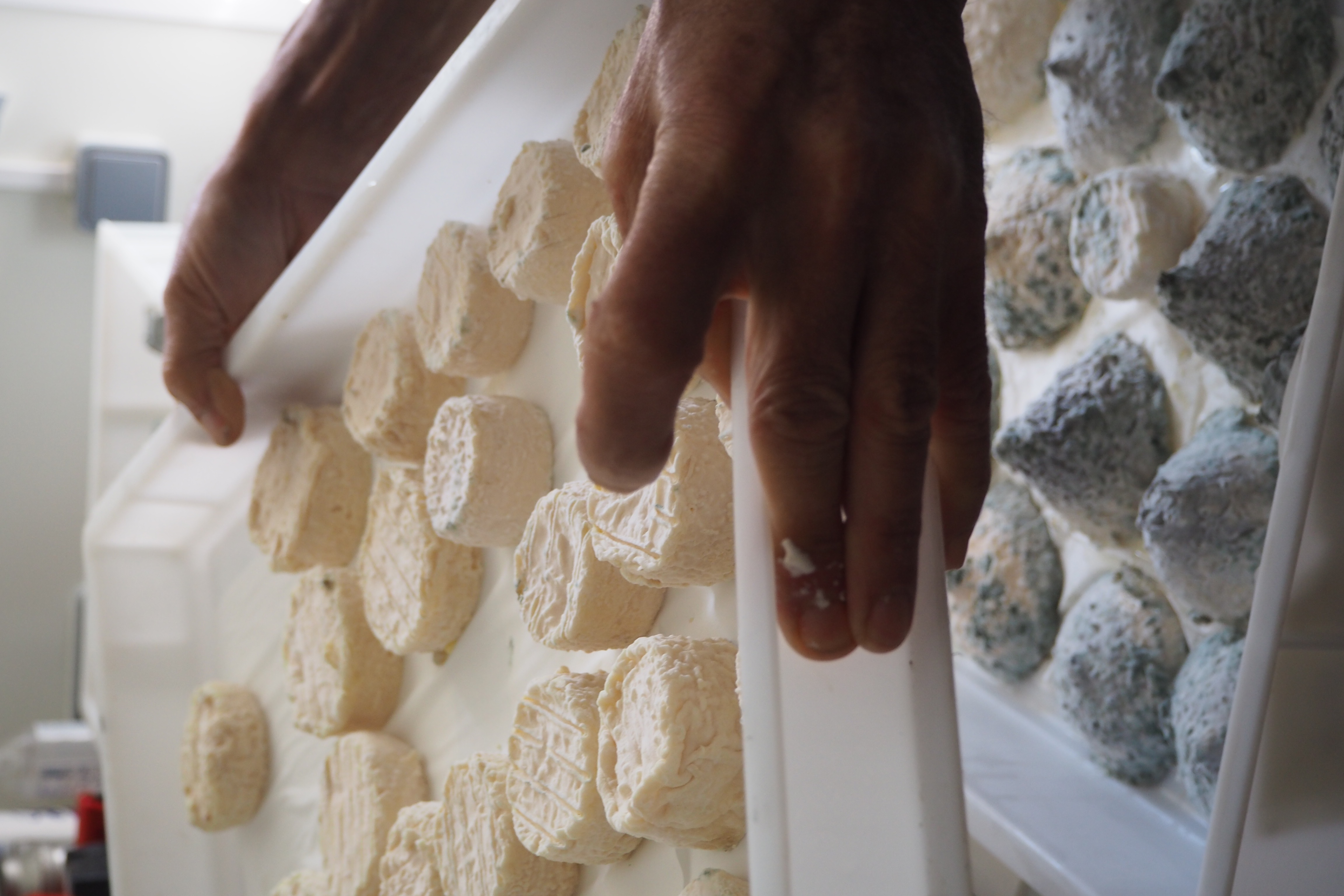 Les fromages de la fermette de la Croix d'Estrine, Martigues - © Otmartigues / EstelleB