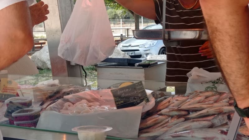 Fish and shellfish stall at the Saint-Julien-les-Martigues market. Local products and flavors to buy every Saturday morning in the village. - © Otmartigues / MyriamF
