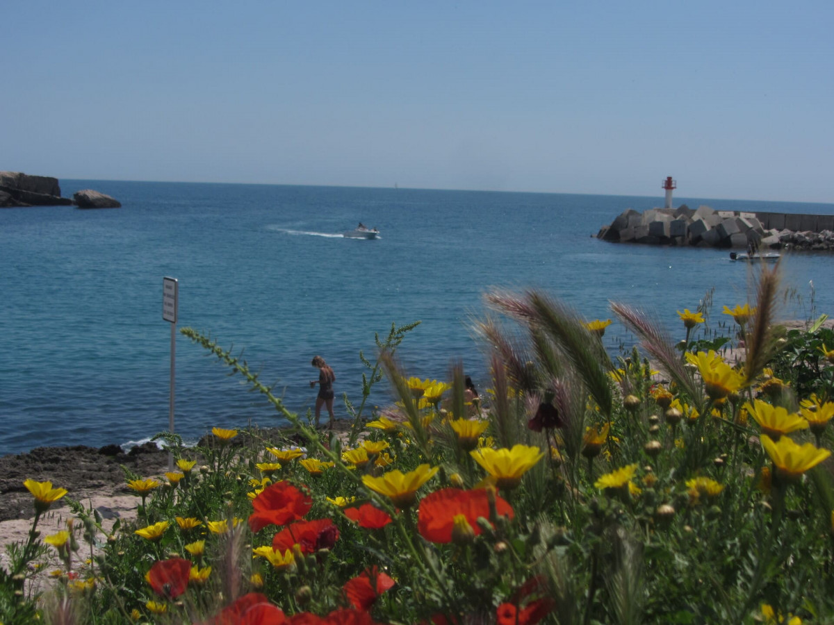 Randonnée ludique sur la Côte Bleue par Randoland_Martigues