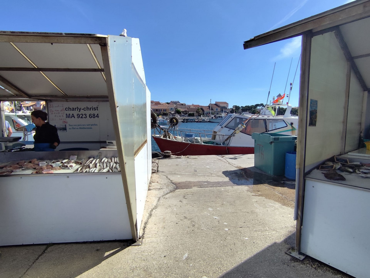 Marché aux poissons de Carro_Martigues Marché aux poissons de Carro_Martigues