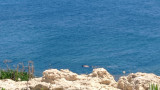 Coastal walk in Verdon_Martigues