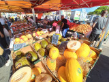 Marché de Ferrières_Martigues