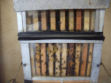 Animation around bees_Martigues