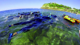 Snorkeling in the heart of the Marine Park_Carry-le-Rouet