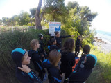 Snorkeling in the heart of the Marine Park_Carry-le-Rouet