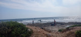 Windsurf_Martigues