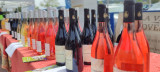 Immersive walk in the heart of the vineyards_Martigues