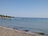 Championnat de France Eau libre_Martigues