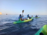 Kayak rental 1h in Martigues_Martigues