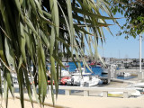Le port de Carro