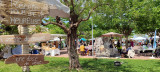 Le beau printemps_Martigues
