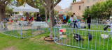Le beau printemps_Martigues