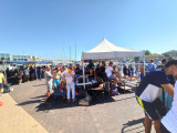 Joutes provençales, tournoi de la Saint-Pierre_Martigues