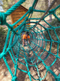 Parcours aventure dans les arbres_Martigues