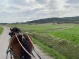 Balade en calèche