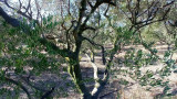 Encuentro con un olivarero en el Domaine Plan de Fossan_Martigues