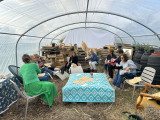 Meditation and tasting in the heart of the almond grove_Martigues