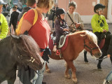 Martigues celebra su terruño